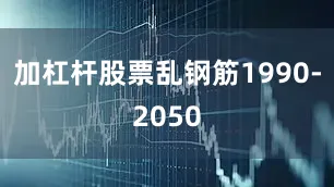 加杠杆股票乱钢筋1990-2050