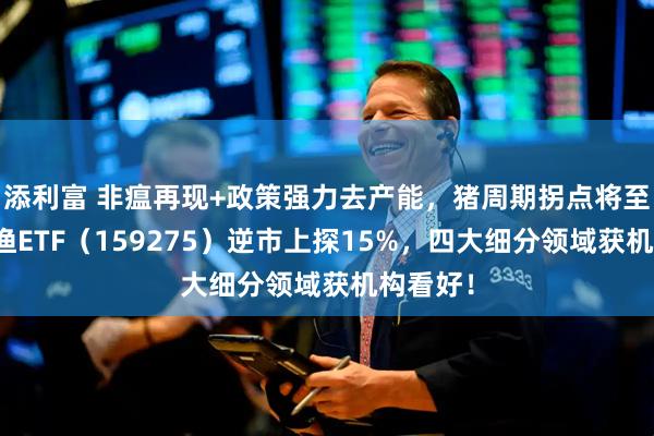 添利富 非瘟再现+政策强力去产能,猪周期拐点将至?农牧渔ETF(159275)逆市上探15%,四大细分领域获机构看好!