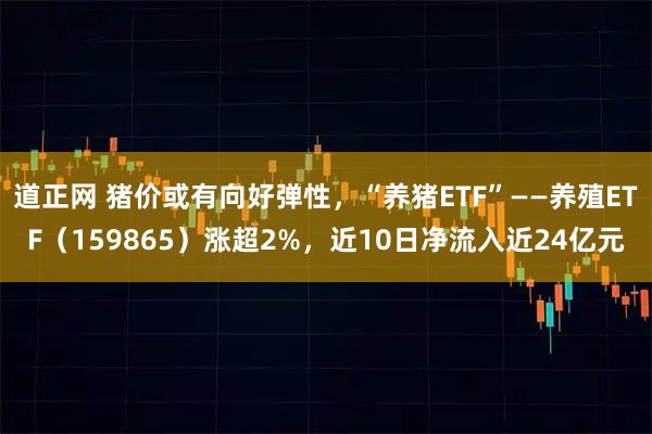 道正网 猪价或有向好弹性,“养猪ETF”——养殖ETF(159865)涨超2%,近10日净流入近24亿元