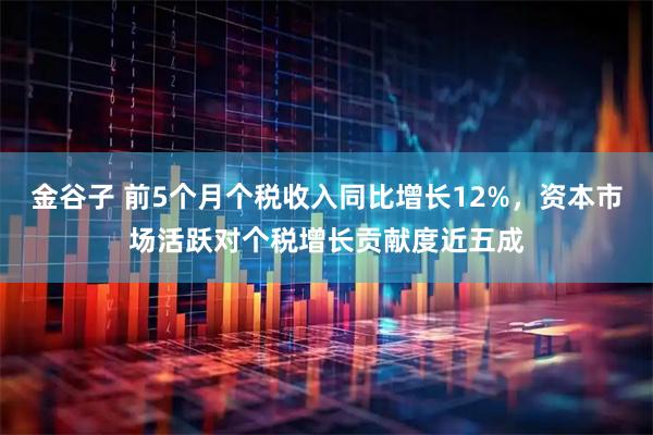 金谷子 前5个月个税收入同比增长12%，资本市场活跃对个税增长贡献度近五成
