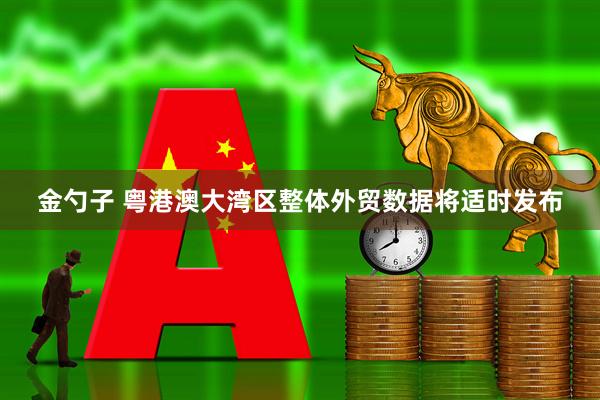 金勺子 粤港澳大湾区整体外贸数据将适时发布